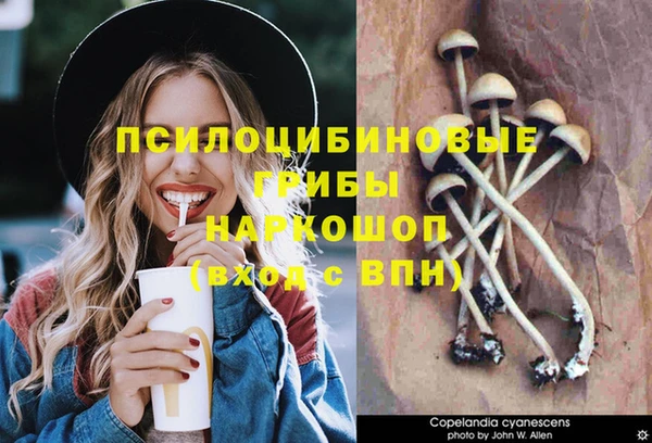 бошки Пролетарск